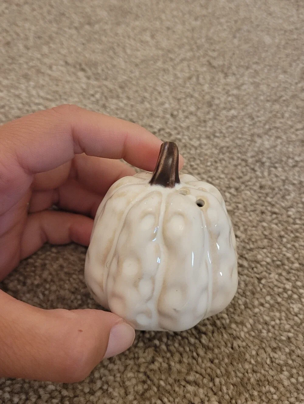 Pottery Barn Ceramic White Pumpkin Salt Shaker